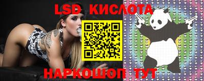 jwh Апшеронск