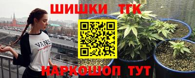 гидра Берёзовский