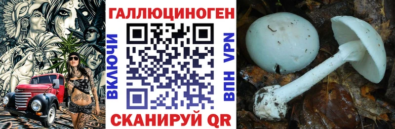 Галлюциногенные грибы Psilocybe  Еманжелинск 