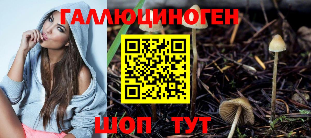Галлюциногенные грибы Psilocybine cubensis Еманжелинск