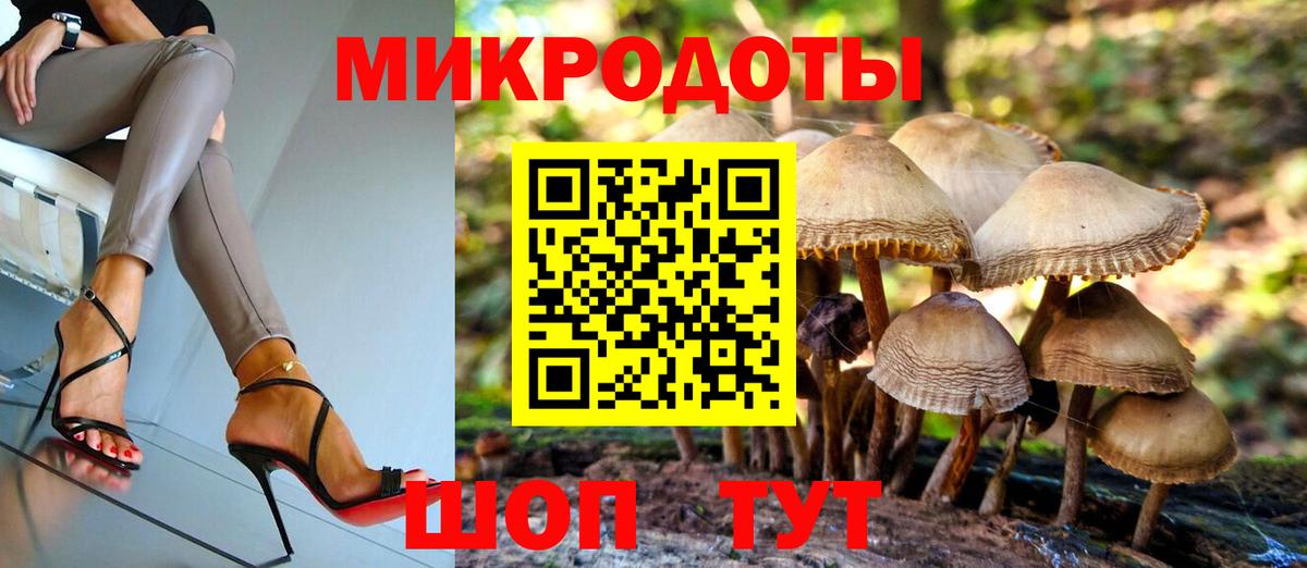 Галлюциногенные грибы Psilocybine cubensis  Еманжелинск  Галлюциногенные грибы Magic Shrooms 