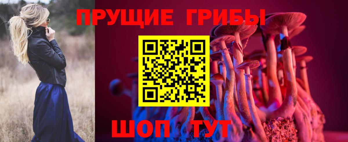 Псилоцибиновые грибы прущие грибы  Вход с VPN  Галлюциногенные грибы Magic Shrooms  Еманжелинск 